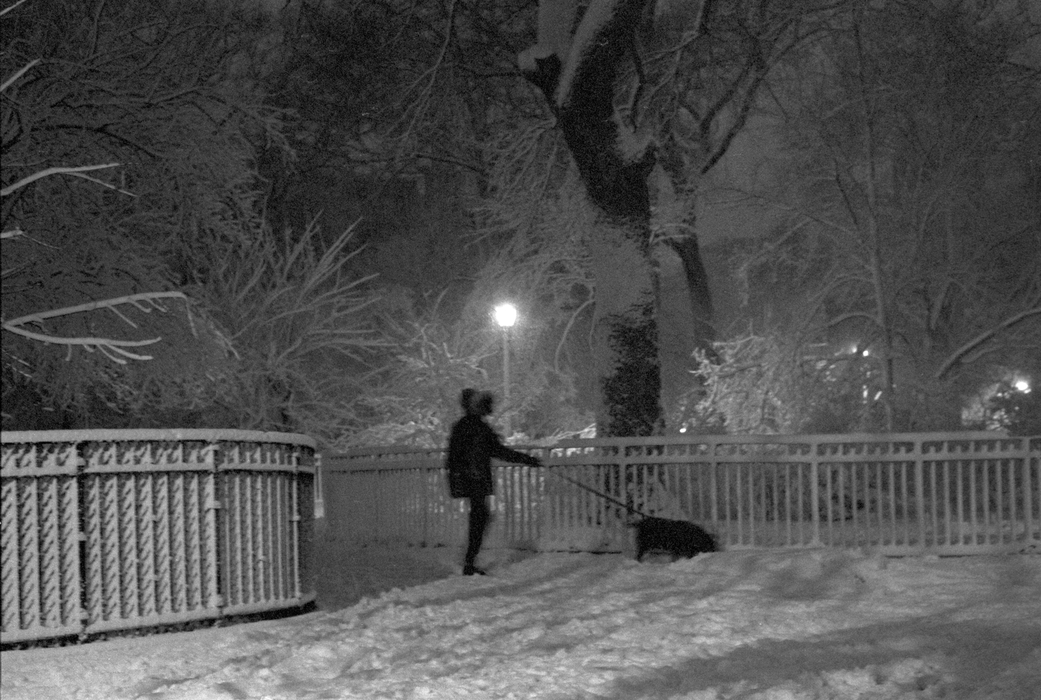 Tompkins Square Park, Manhatan