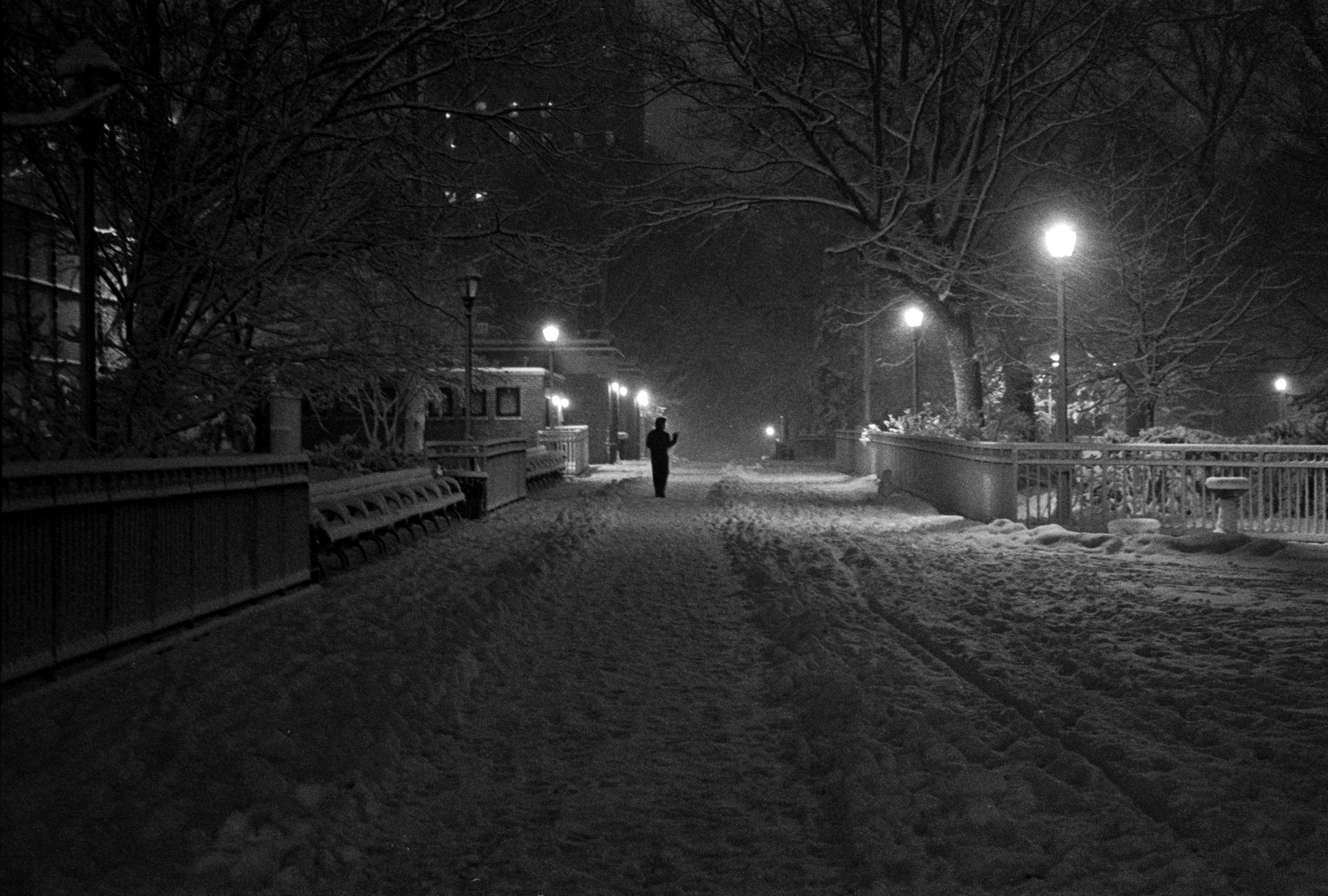 Tompkins Square Park