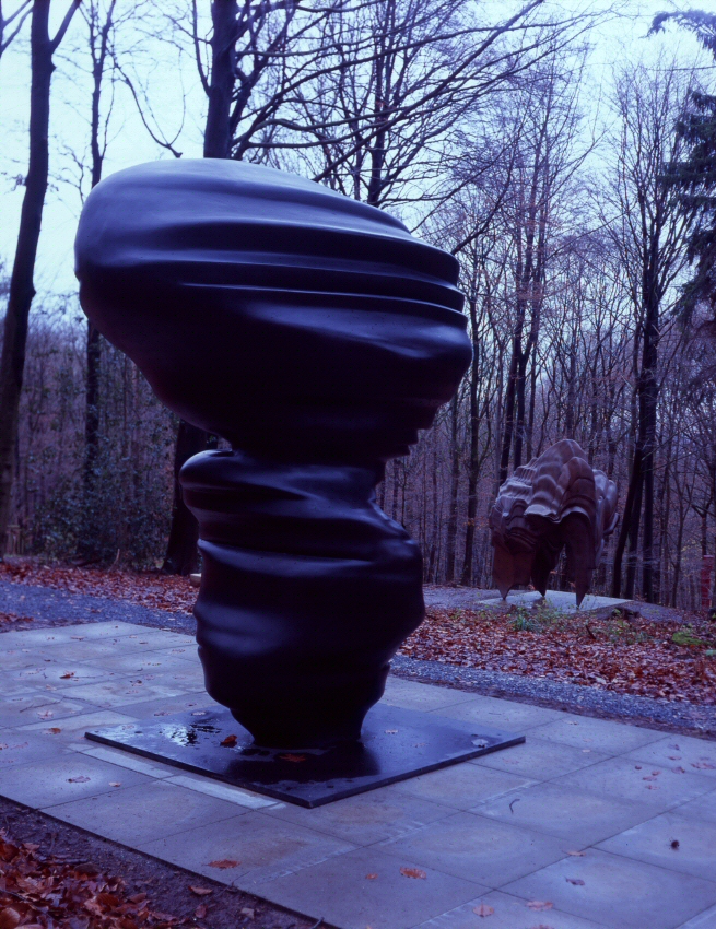 Tony Cragg: 'Cast Glances', 'Caldera'