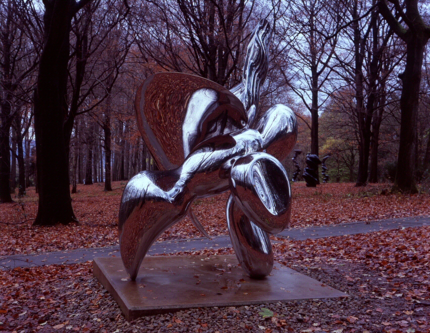 Tony Cragg: 'Distant Cousin'