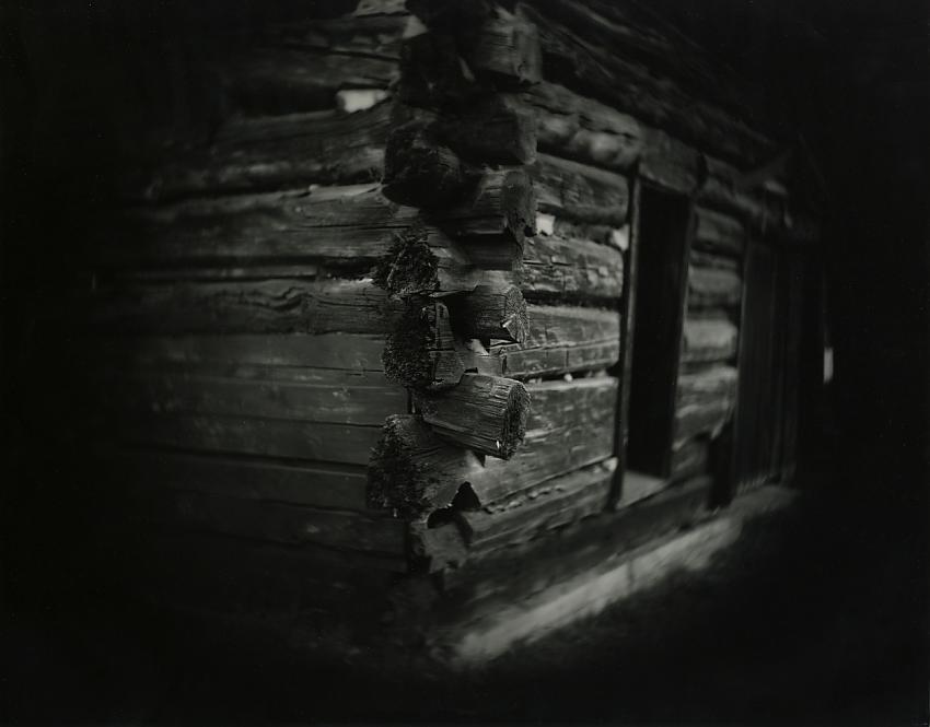 Tool Shed - Lambs