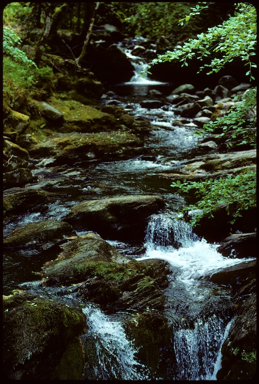 Torc Mountain
