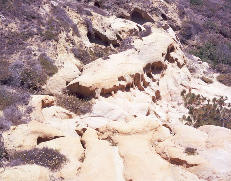 Torrey Pines Wind Caves