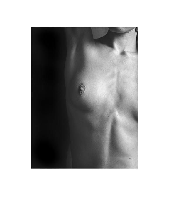 Torso