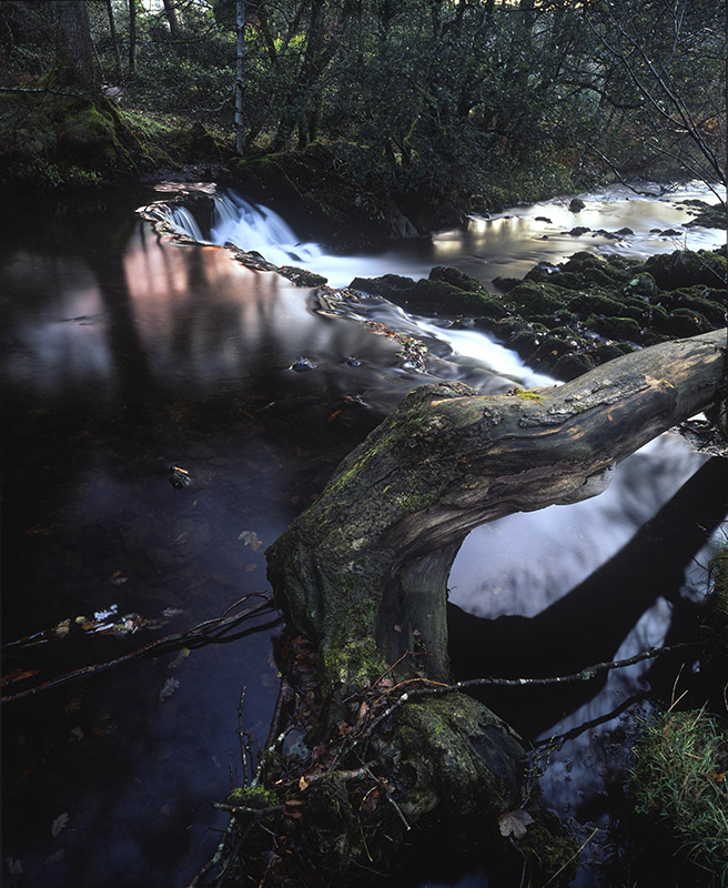 Torver Beck