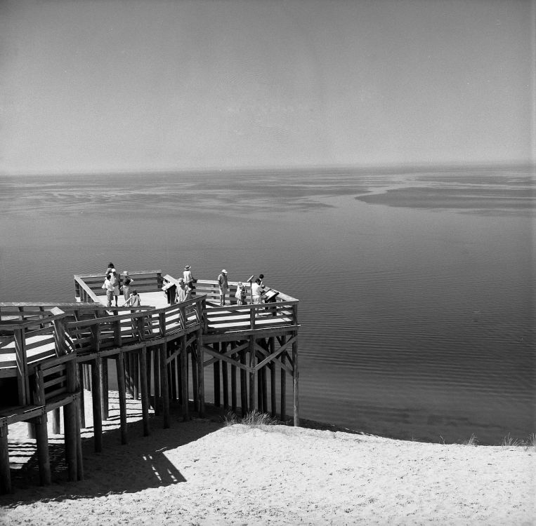 Toutists on a viewing platform