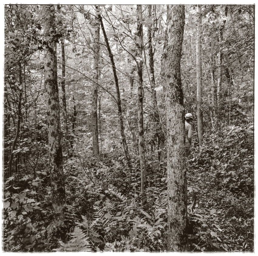 Town Forest, St Johnsbury Vermont. 9/20/17