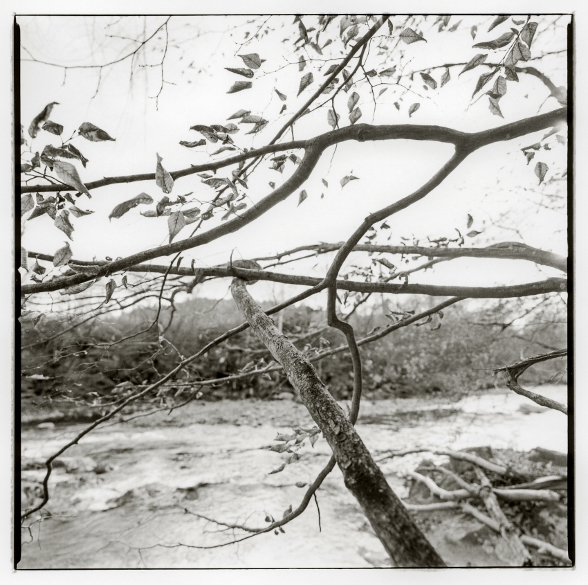 Town Forest, view of Moose River, St Johnsbury Vermont.