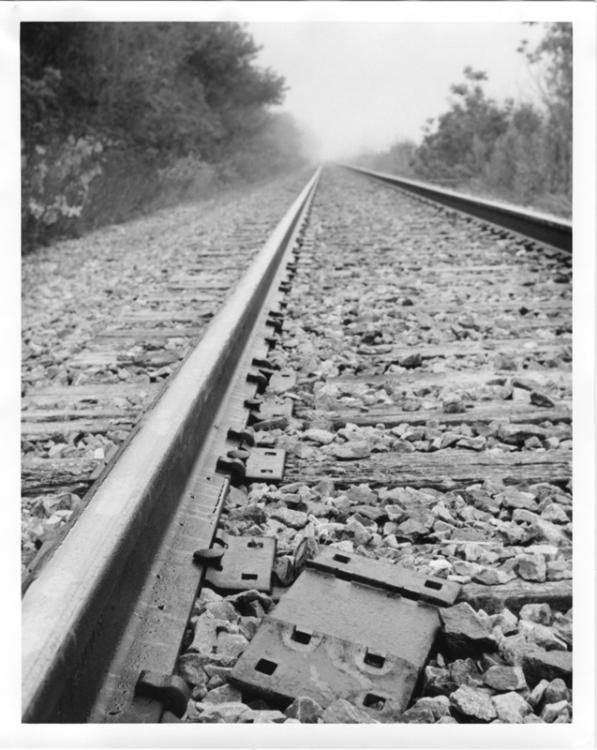 Tracks In Fog