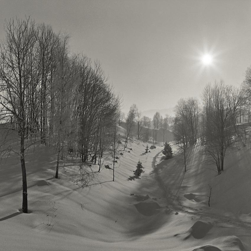 Tracks in the snow