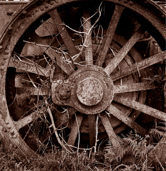Traction engine wheel