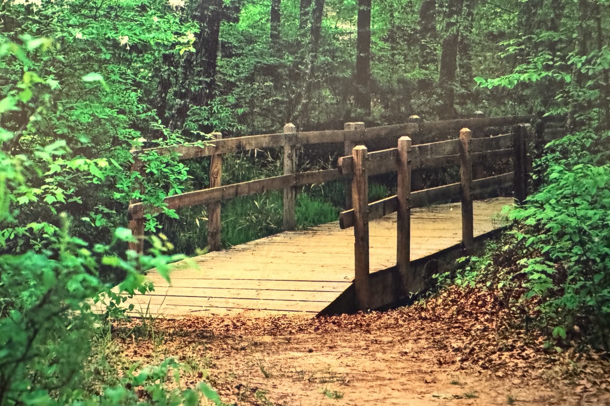 Trail