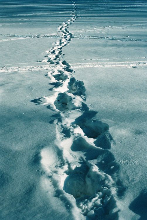 Trail1