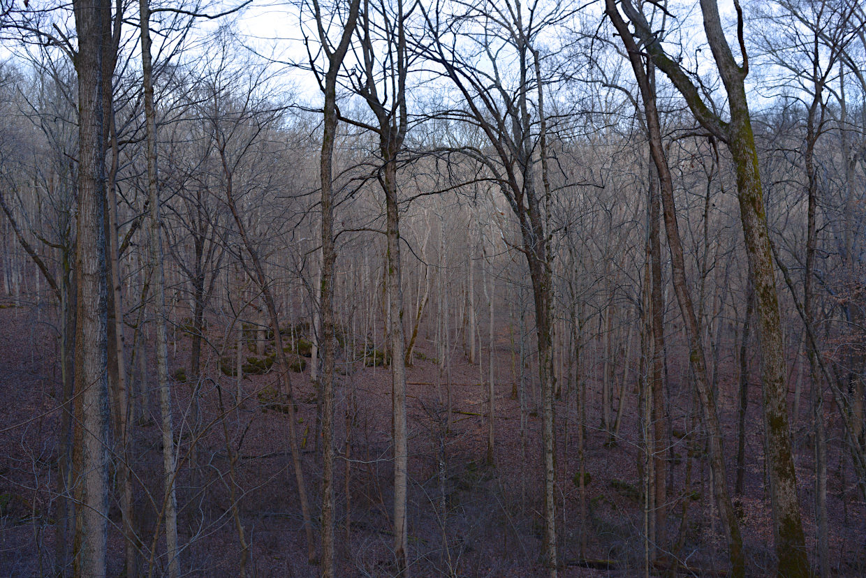 Trail1_2-3-2-_810_0241-web
