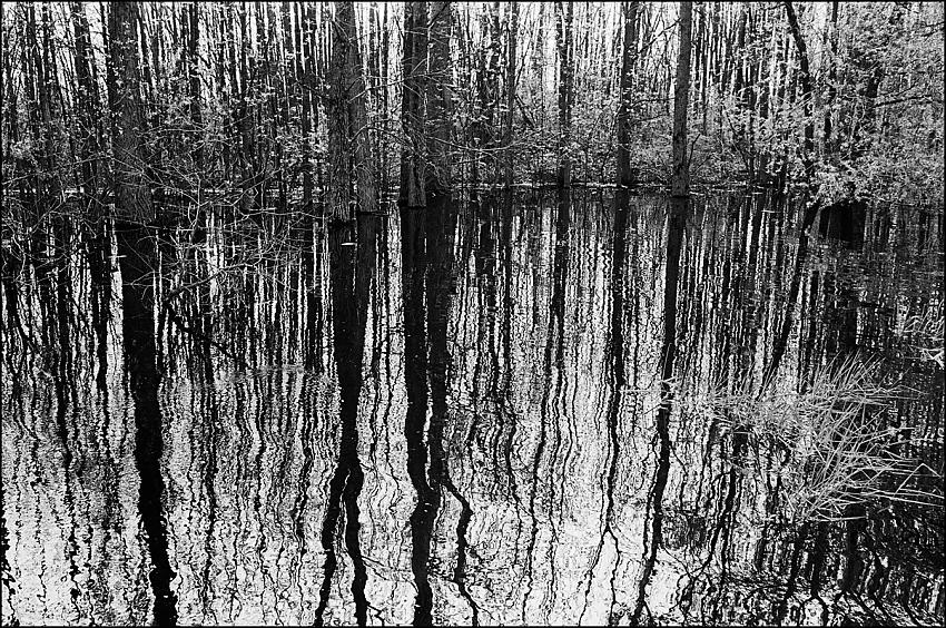 Tranquillity