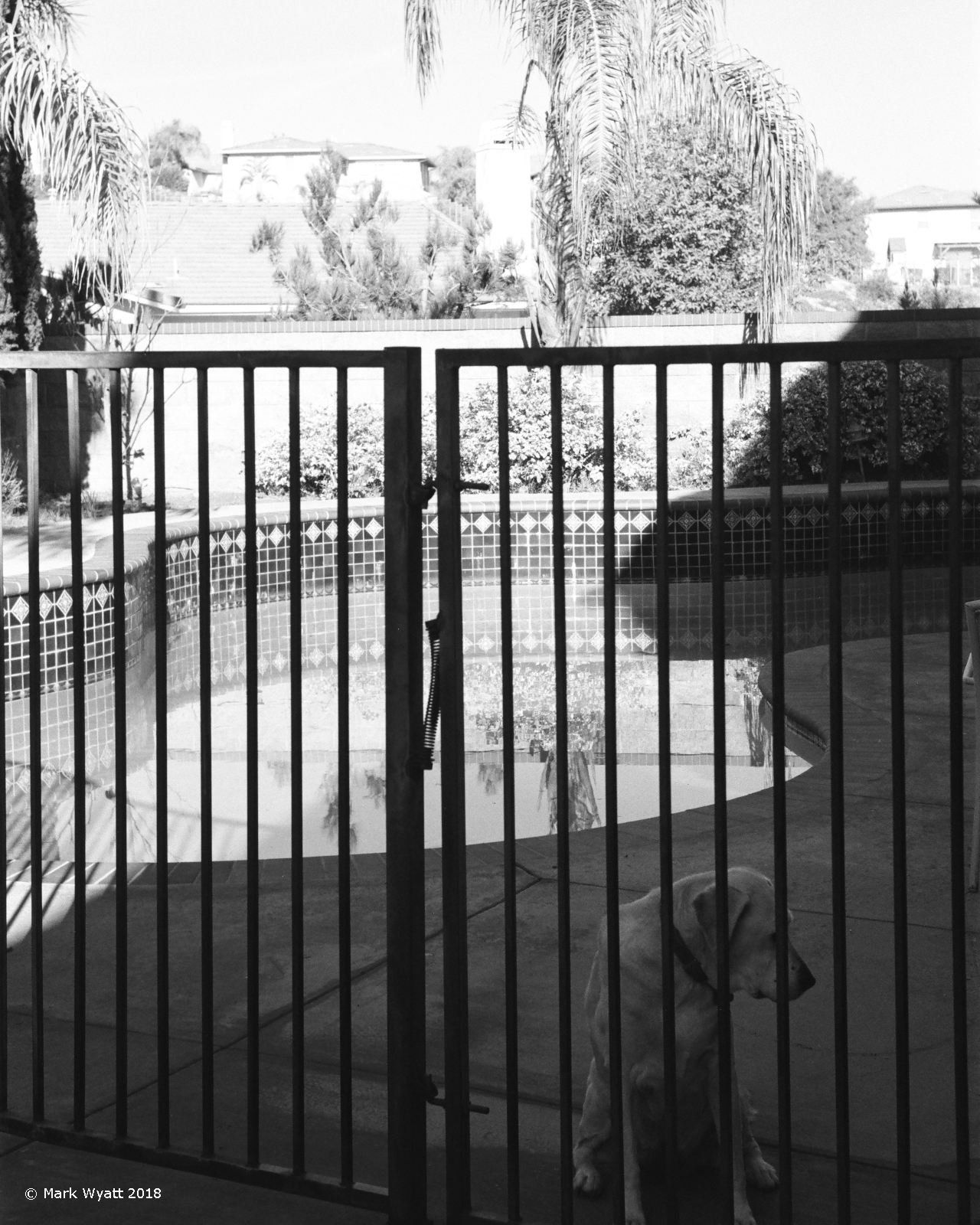Trapped
