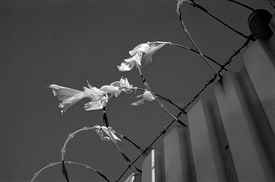 Trash and razor wire