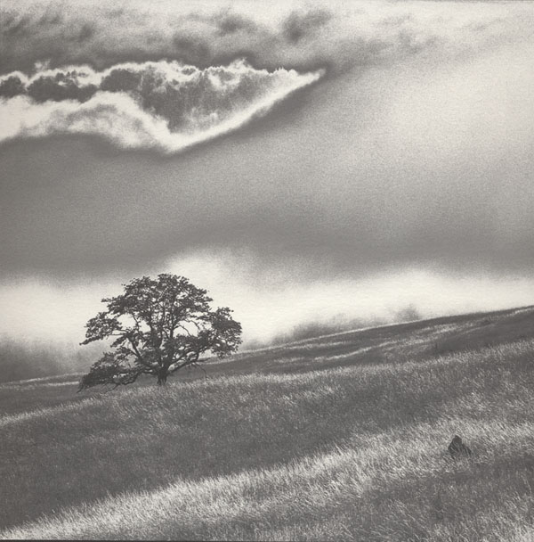 Tree and Grass, Study 1