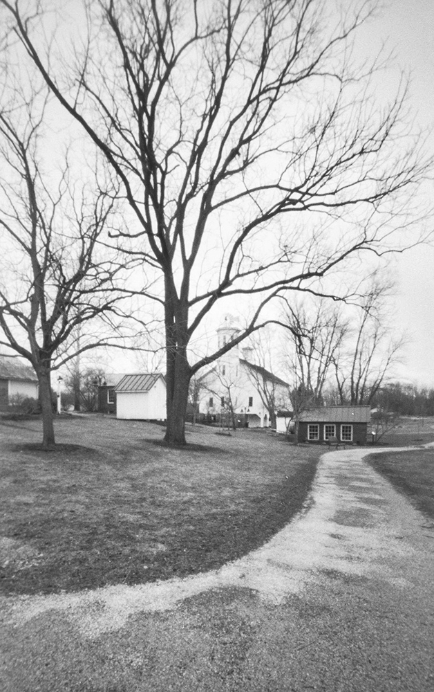 Tree and Path