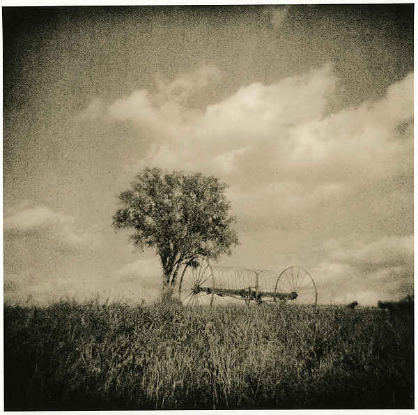 Tree And Tool