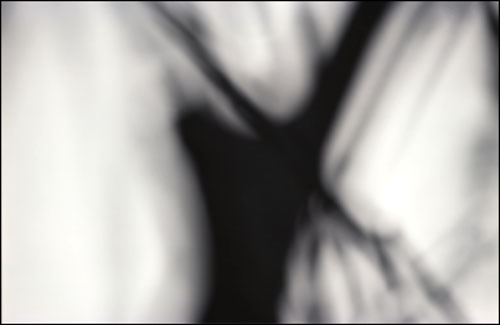 Tree Blur #1