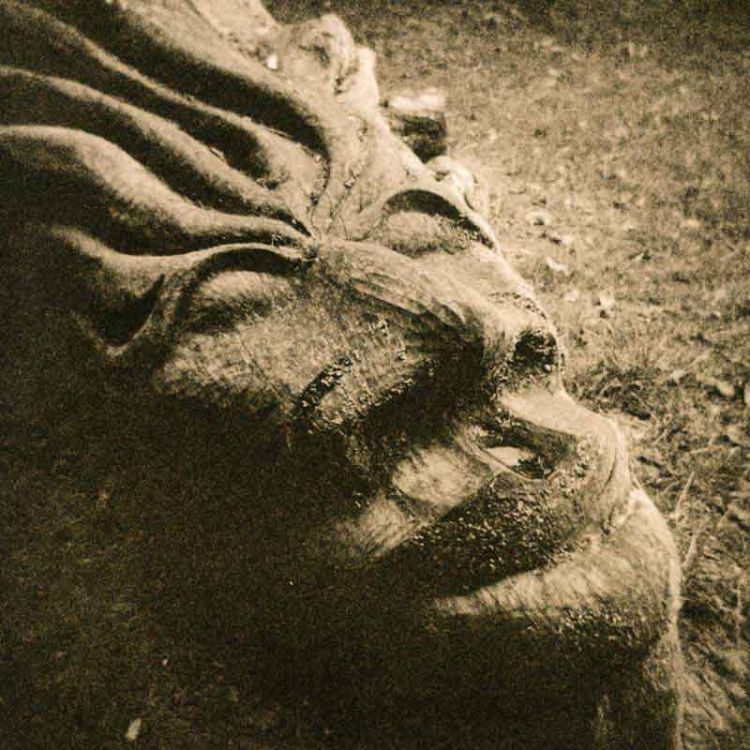Tree carving