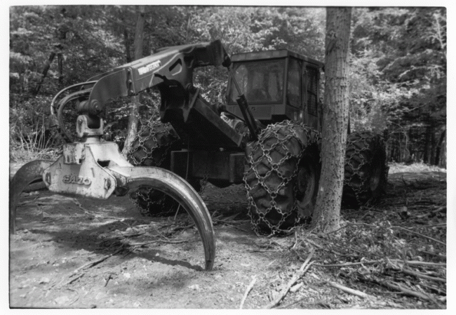 Tree Harvester