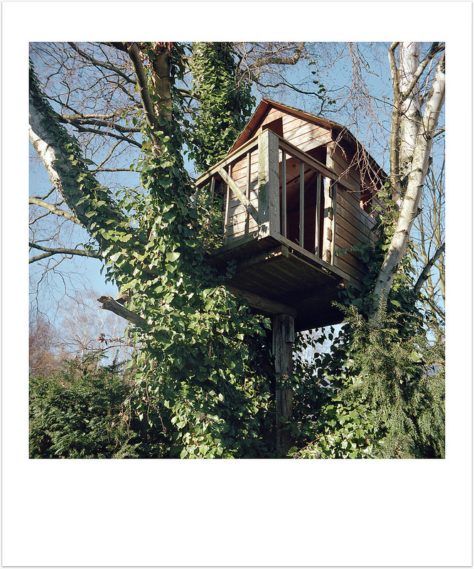 Tree house