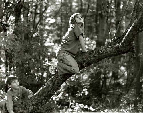 Tree Huggers II
