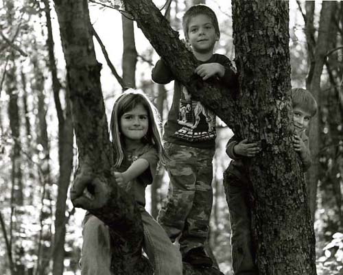 Tree Huggers