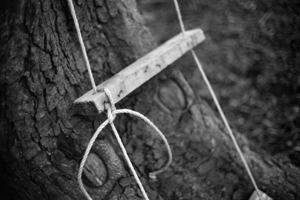 tree ladder...