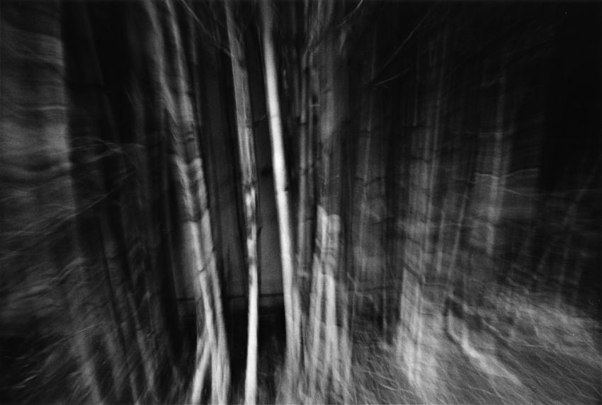 tree sketches, no. 3