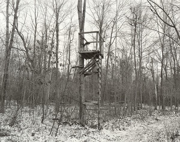 Tree Stand