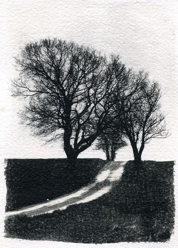 Tree trees