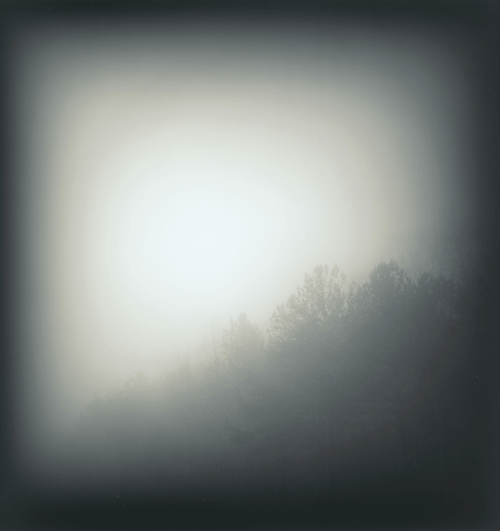 Treeline