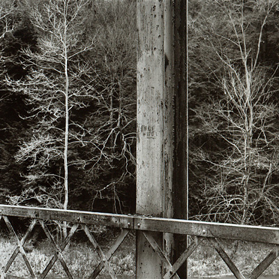 Trees and Bridge