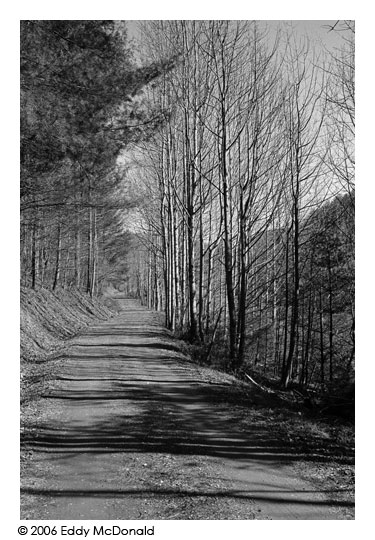 Trees and path