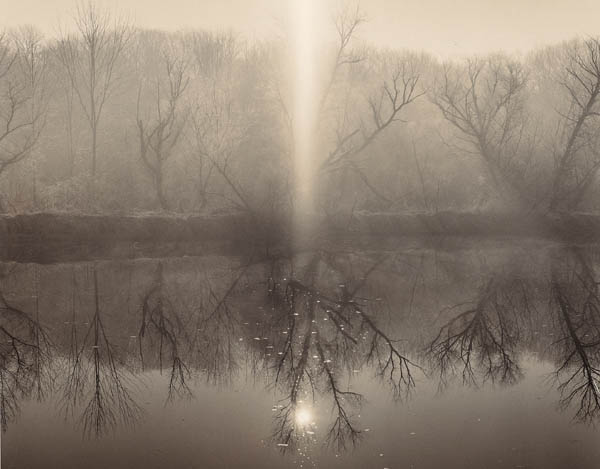 Trees and reflections in morning