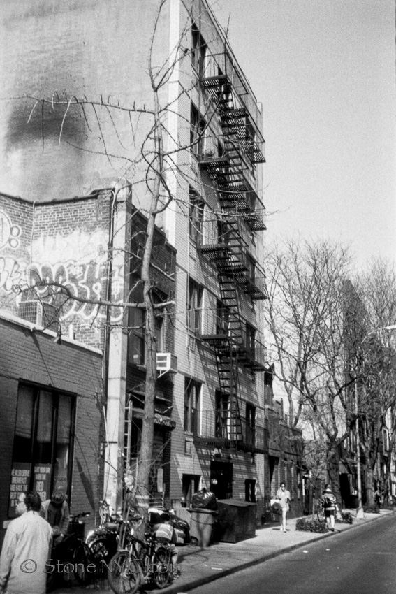 Tree's struggling to live in a barren land - More experimenting with C-41 as B&W