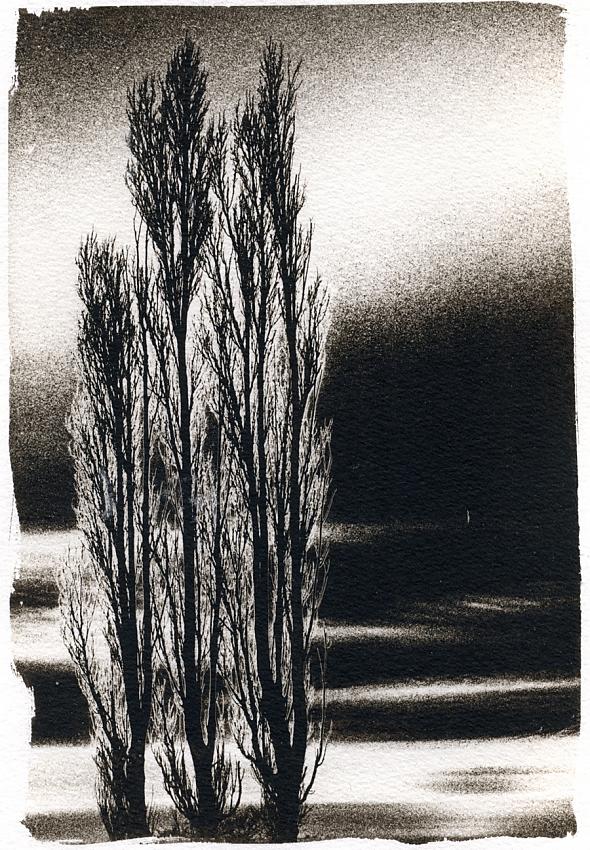 Trees