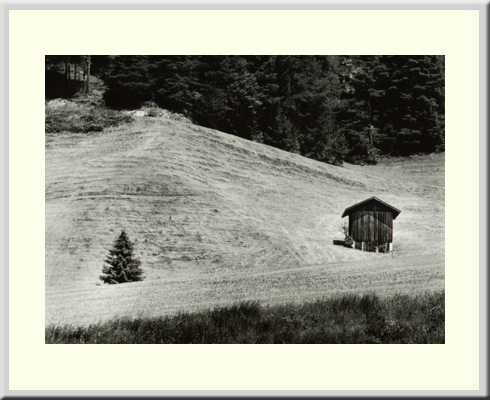 Trentino