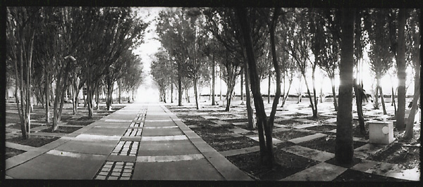 Trip Park
