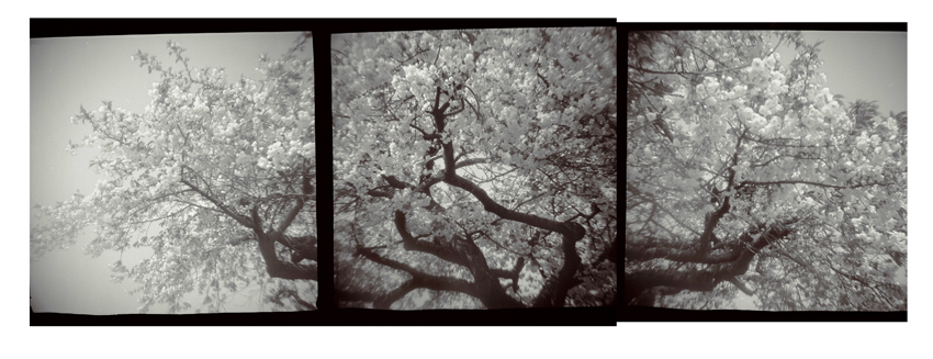 triptych