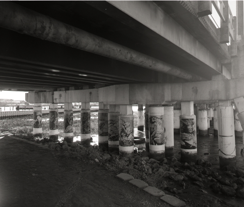 Trolls under Mare Island Causeway
