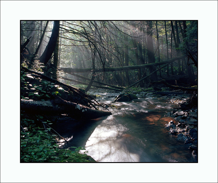 Trout Run #2