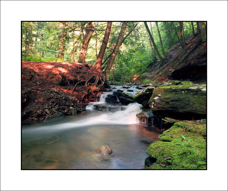 Trout Run #3