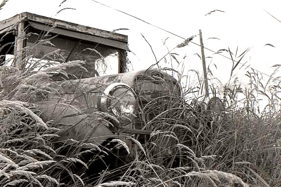 Truck in weeds