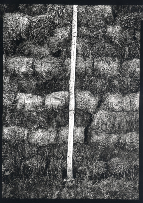 truss of straw - France