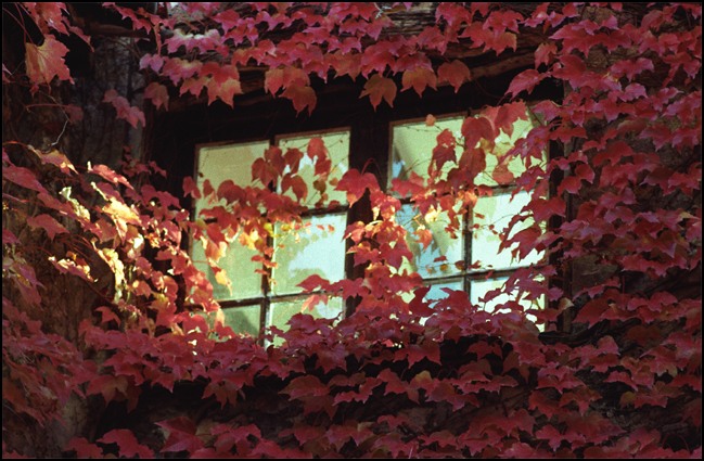 Try_on_winter_light