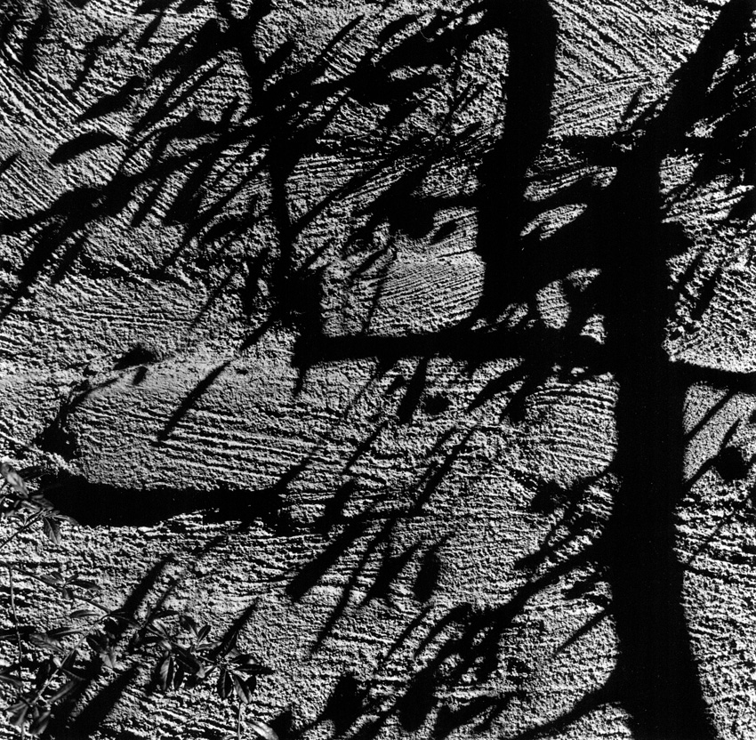 Tucana Shadows 1